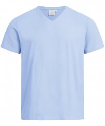 Coupe regular fit, manches courtes, col V